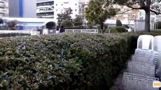 漂亮嬰兒肥美眉，被大肉棒無套爆菊花，小臉緋紅很是享受…